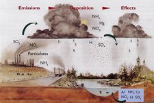 Concept Acid Rain