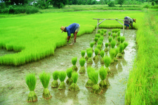 Concept Agriculture and Human Population Growth