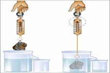 Concept Archimedes' Law