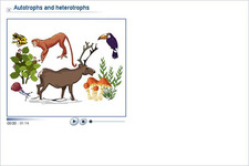 Concept Autotrophs and Heterotrophs