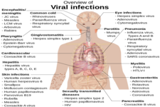 Concept Bacterial Sexually Transmitted Infections