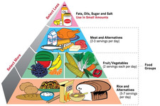 Concept Balanced Eating