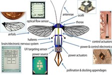 Concept Basic and Applied Science