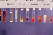 Concept Biochemical Reaction Chemistry