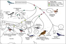 Concept Biogeography