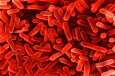 Concept Bioterrorism