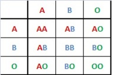 Concept Blood Types
