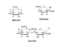 Concept Carbohydrates