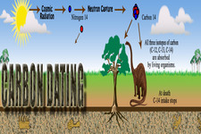 Concept Carbon Dating