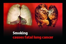 Concept Carcinogens and Cancer