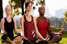 Concept Cardiovascular System Health