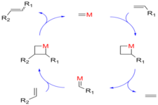 Concept Catalysts