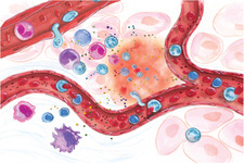 Concept Cell-Mediated Immune Response