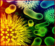 Concept Characteristics and Origins of Life