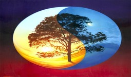 Concept Characteristics of Life