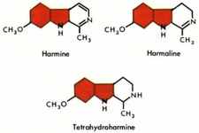 Concept Chemical Formula