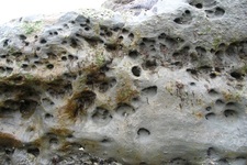 Concept Chemical Weathering