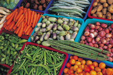 Concept Choosing Healthy Foods