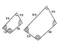 Concept Classifying Polygons by Angles
