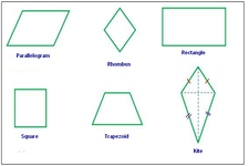 Concept Comparing Rectangles, Squares, Parallelograms