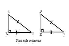 Concept Congruence Properties