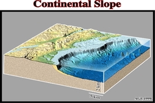 Concept Continental Margins