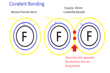 Concept Covalent Bonding