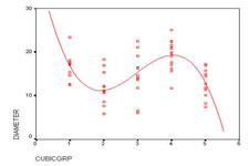 Concept Cubic Models