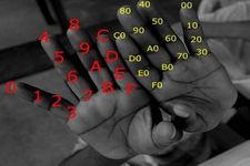 Concept Decimals