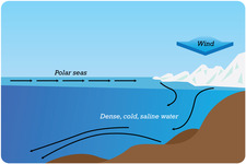 Concept Deep Ocean Currents