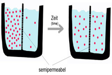 Concept Diffusion