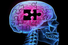 Concept Drugs and the Nervous System
