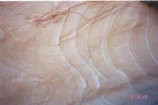 Concept Earth History and Clues from Fossils