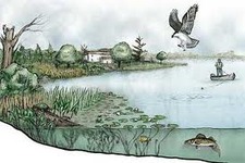 Concept Ecosystems