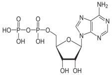 Concept Energy for Cells