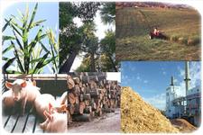 Concept Energy from Biomass