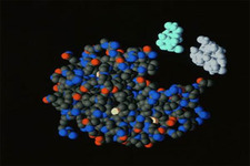 Concept Enzymes