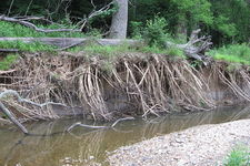 Concept Erosion by Streams