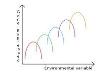 Concept Evolution Acts on the Phenotype
