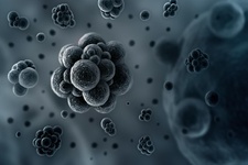 Concept Evolution of Eukaryotes to Multicellular Life