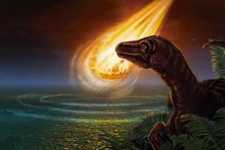 Concept Extinction and Radiation of Life