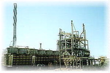 Concept Extracting Ores