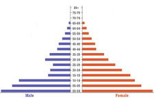 Concept Features of Populations