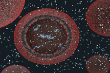 Concept First Cells
