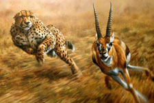 Concept Forces of Evolution