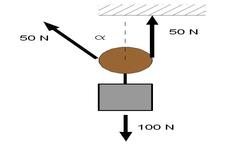 Concept Free Body Diagrams