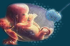 Concept Genetic Disorders