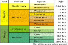 Concept Geologic Time Scale
