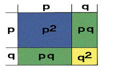 Concept Hardy-Weinberg Theorem