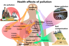 Concept Health Hazards of Air Pollution